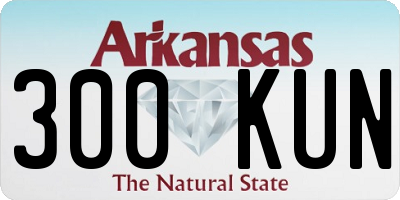 AR license plate 300KUN