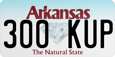 AR license plate 300KUP
