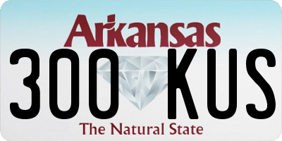 AR license plate 300KUS