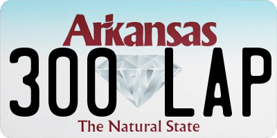 AR license plate 300LAP