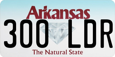 AR license plate 300LDR