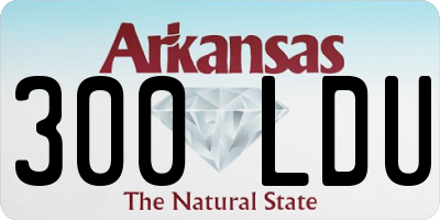AR license plate 300LDU