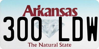 AR license plate 300LDW