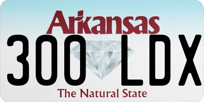 AR license plate 300LDX