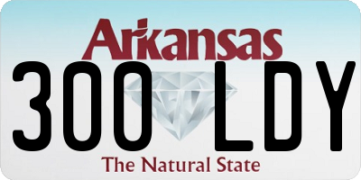 AR license plate 300LDY