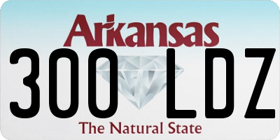 AR license plate 300LDZ