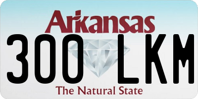 AR license plate 300LKM