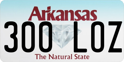 AR license plate 300LOZ