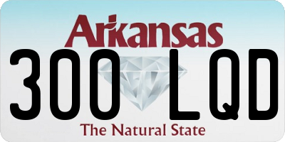 AR license plate 300LQD