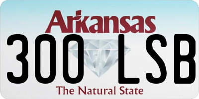 AR license plate 300LSB