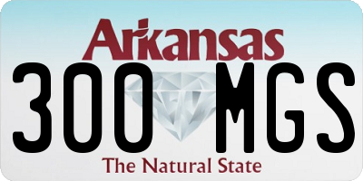 AR license plate 300MGS