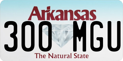AR license plate 300MGU