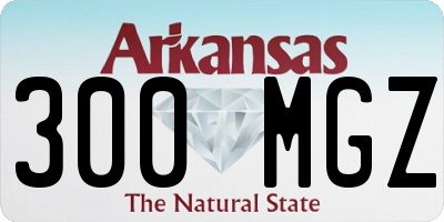 AR license plate 300MGZ