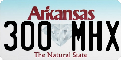 AR license plate 300MHX