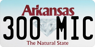 AR license plate 300MIC