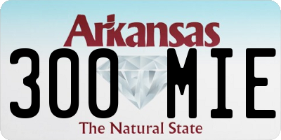 AR license plate 300MIE