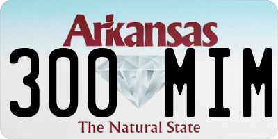 AR license plate 300MIM