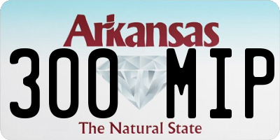 AR license plate 300MIP