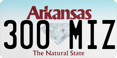 AR license plate 300MIZ