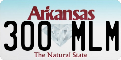 AR license plate 300MLM
