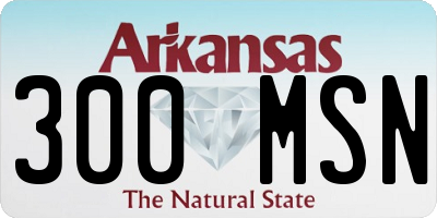 AR license plate 300MSN