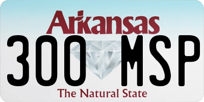 AR license plate 300MSP