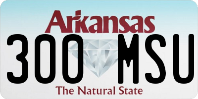 AR license plate 300MSU