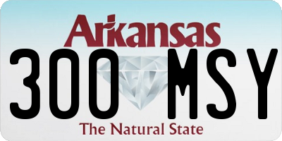 AR license plate 300MSY
