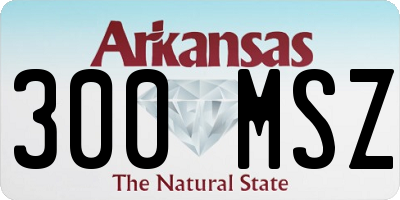 AR license plate 300MSZ