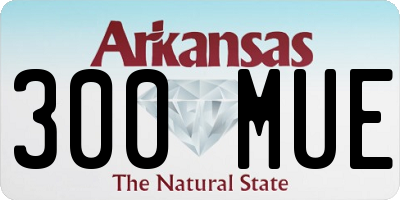 AR license plate 300MUE