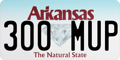 AR license plate 300MUP