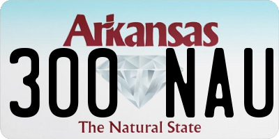 AR license plate 300NAU