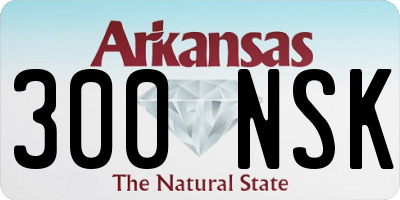 AR license plate 300NSK