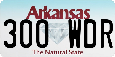 AR license plate 300WDR