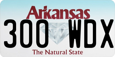 AR license plate 300WDX