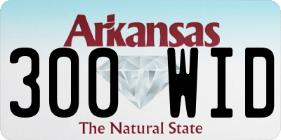 AR license plate 300WID