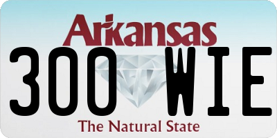 AR license plate 300WIE