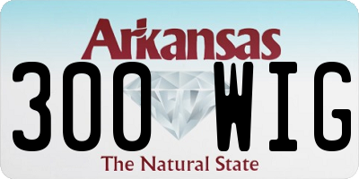 AR license plate 300WIG