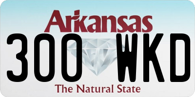 AR license plate 300WKD