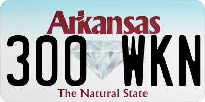 AR license plate 300WKN