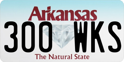 AR license plate 300WKS