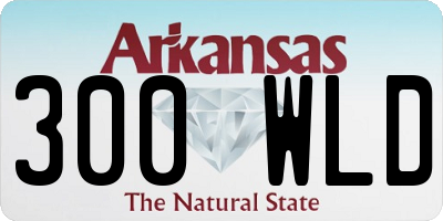 AR license plate 300WLD