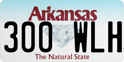 AR license plate 300WLH