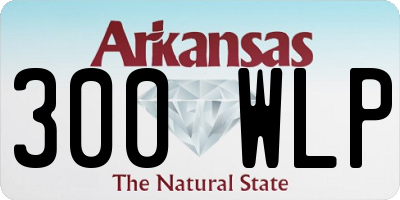 AR license plate 300WLP