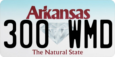 AR license plate 300WMD