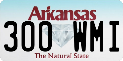 AR license plate 300WMI