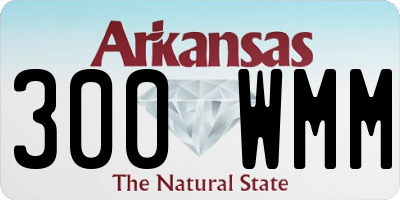 AR license plate 300WMM