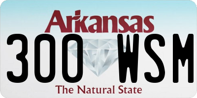 AR license plate 300WSM