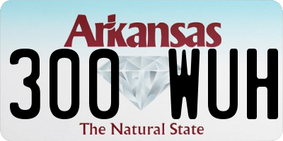 AR license plate 300WUH