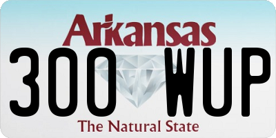 AR license plate 300WUP